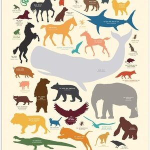 Animals of the literary kingdom poster - each animal is labeled with the book!